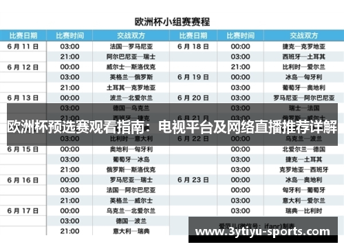 欧洲杯预选赛观看指南：电视平台及网络直播推荐详解